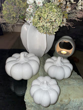 Load image into Gallery viewer, Pumpkins gloss white