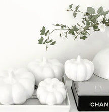 Load image into Gallery viewer, Pumpkins gloss white